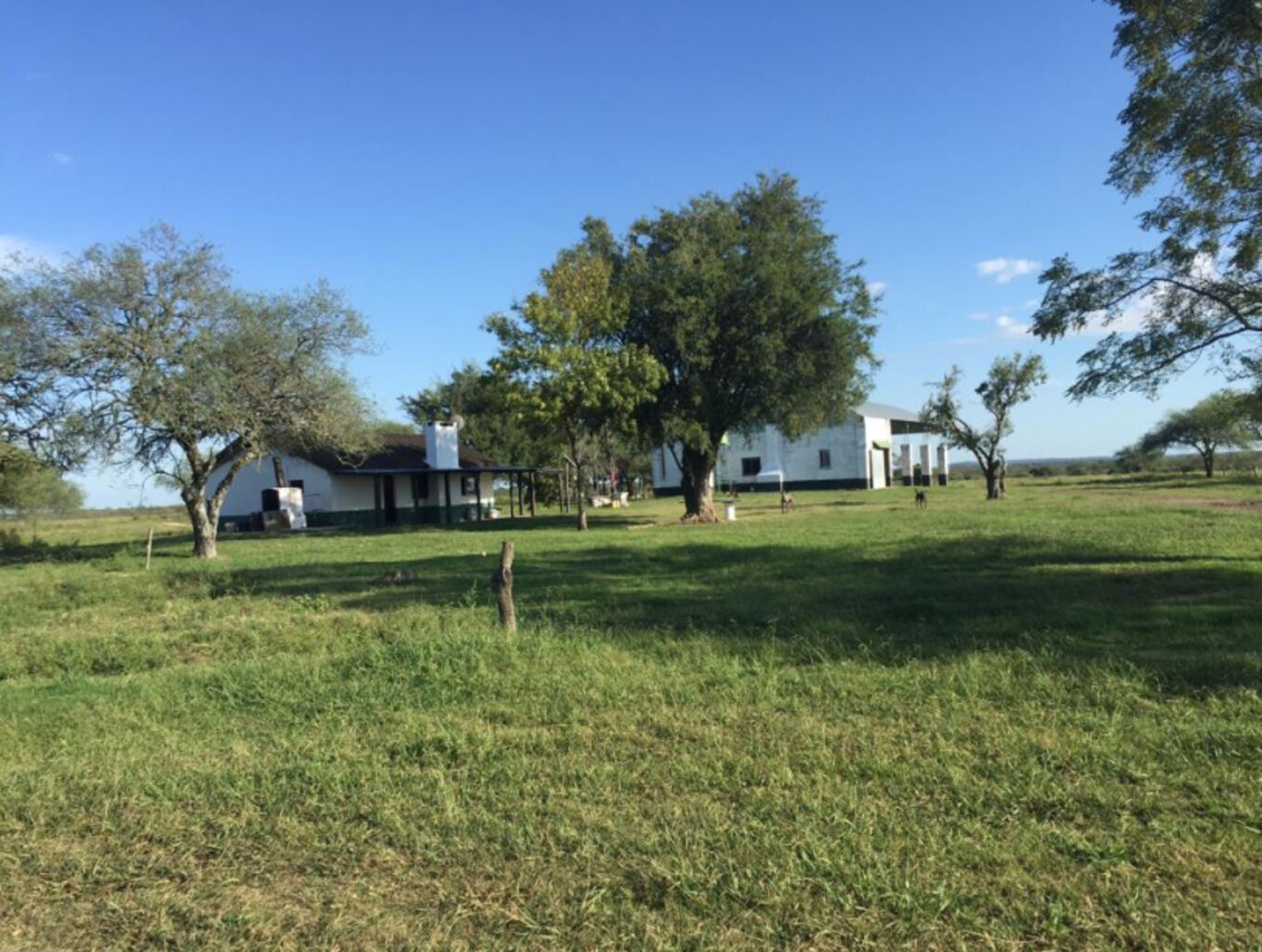 CAMPO EN PAYSANDU - foto 2