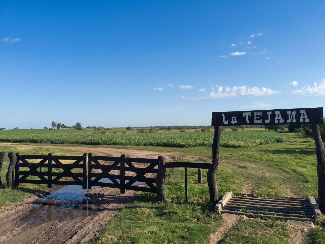 CAMPO EN PAYSANDU - foto 1