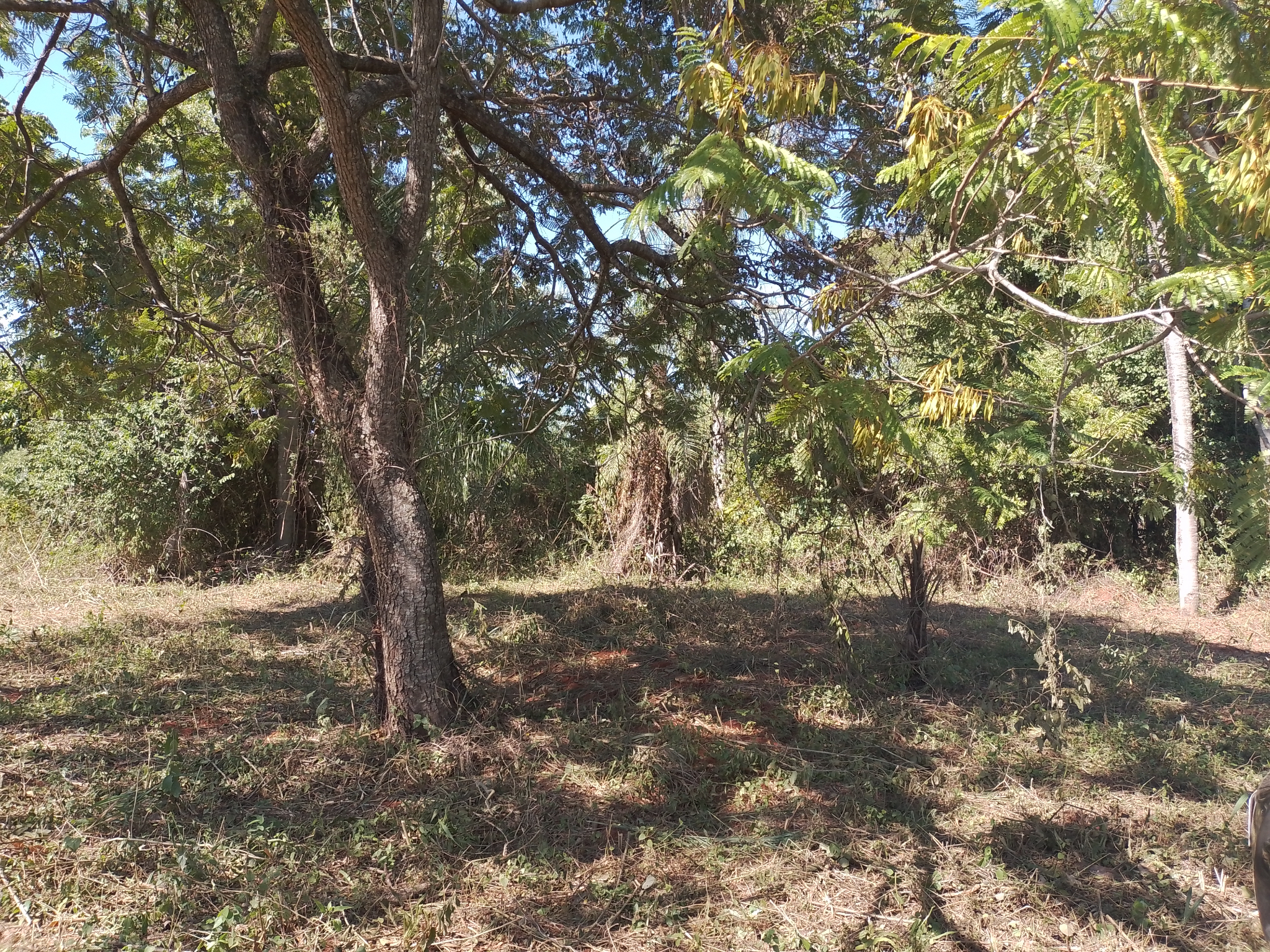 VENDIDO~Vendo Terreno En Costa Fleitas - Areguá. 2740 M2 — foto 3