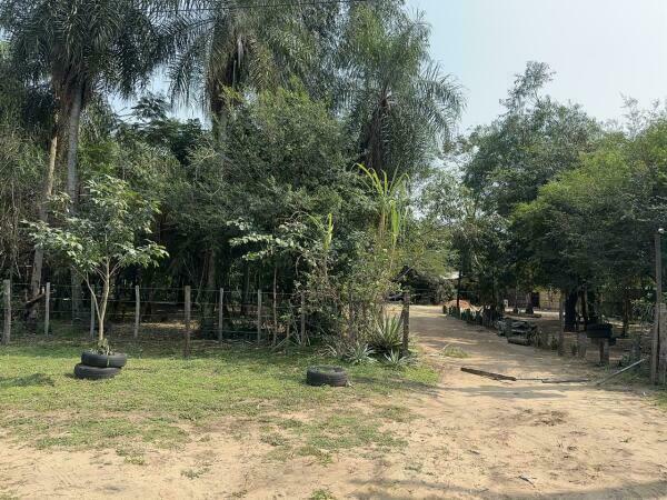 EN VENTA TERRENO EN ESQUINA DE 67,236 M2 EN BARRIO COLON SAN BERNARDINO — foto 3