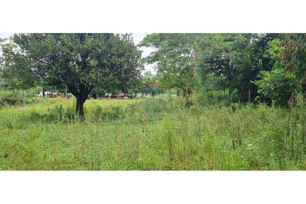 VENDO LINDO TERRENO EN YAGUARON — foto 3