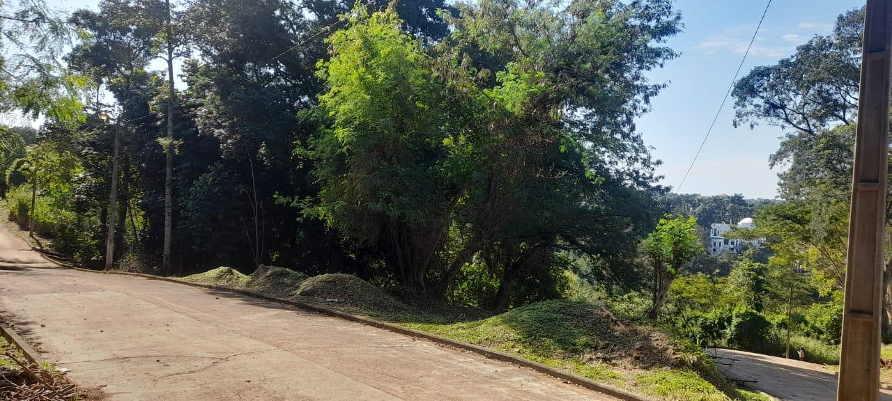 Se Venden Dos Hermosos Terrenos Juntos — foto 3