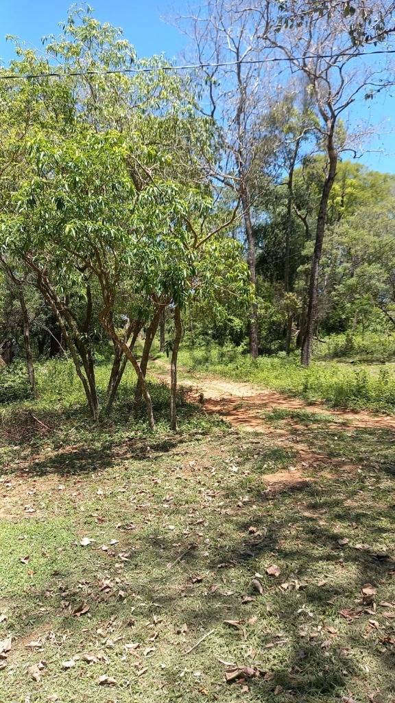 HERMOSO TERRENO EN CIERVO KUA SAN BERNARDINO — foto 3