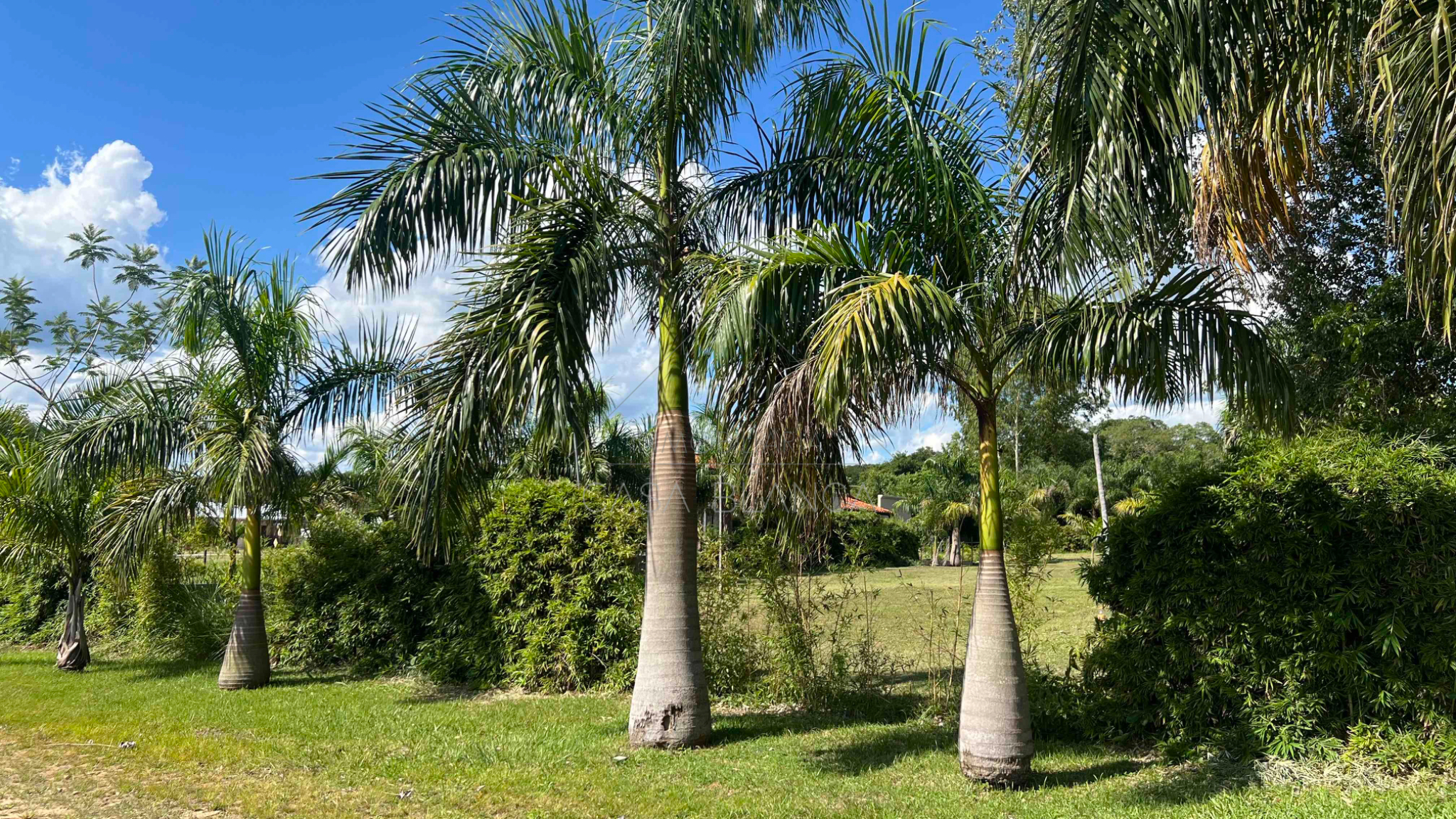 TERRENO EN VENTA, AYRES DE SANBER — foto 3