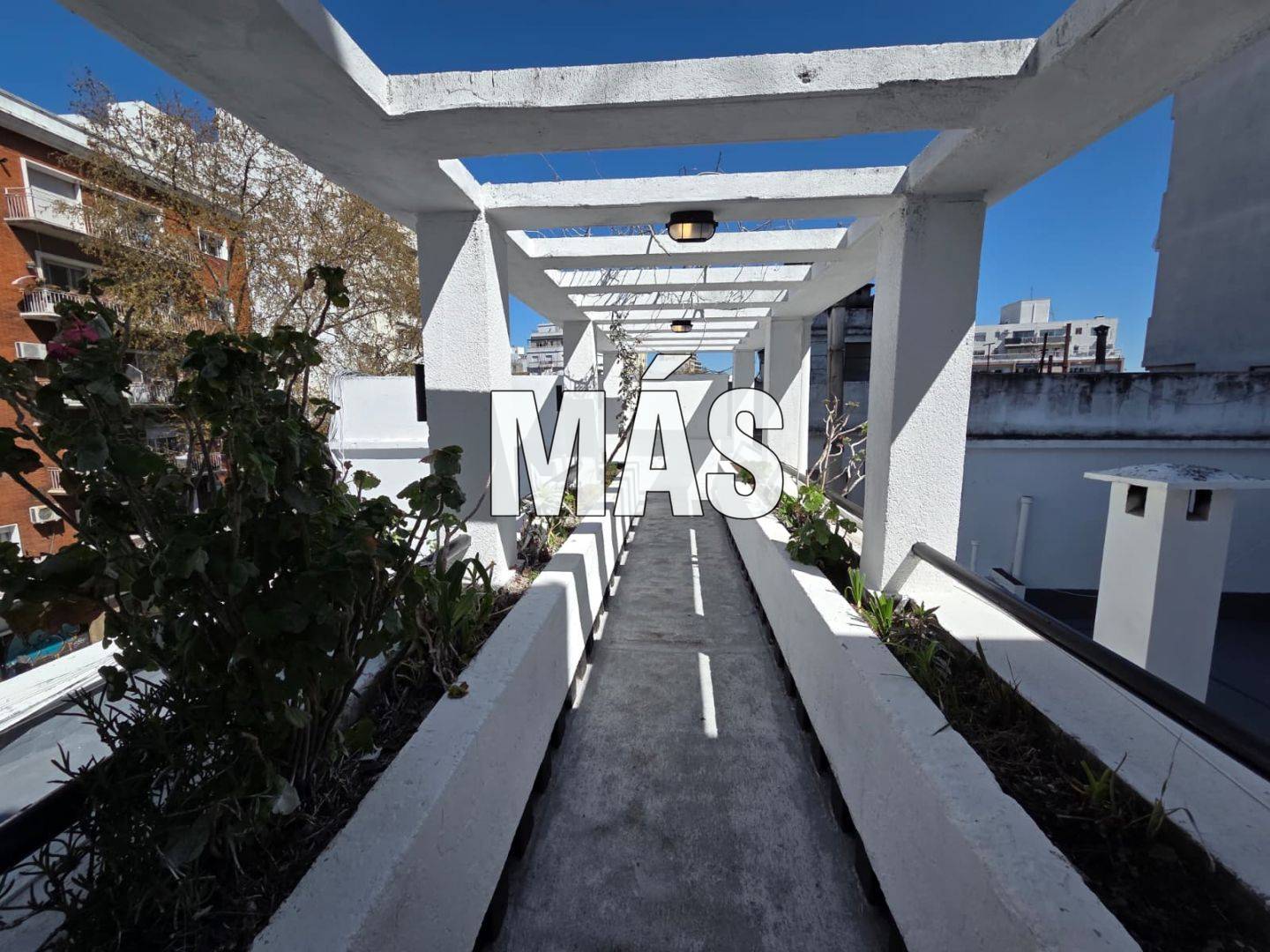 Local Comercial Alquiler Montevideo iMas.uy LC · Foto 4