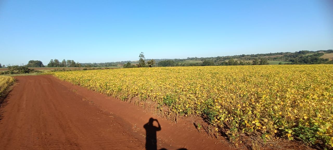 GRAN PROPIEDAD RURAL EN ALTO PARANA — foto 3