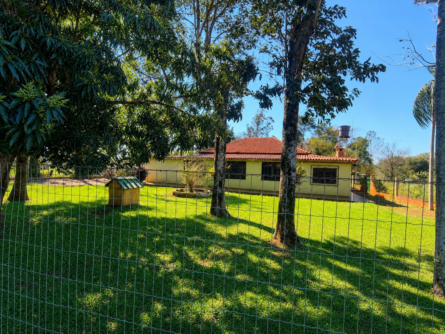 CASA QUINTA DE 1 HECTÁREA EN VENTA – NARANJITO, ITAPÚA — foto 2