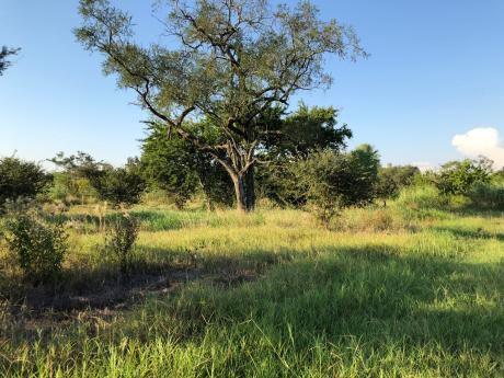 Terreno De 1.163 M2 En Surubi