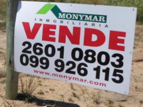 Ideal Viviendas De Interes Social: 62371m