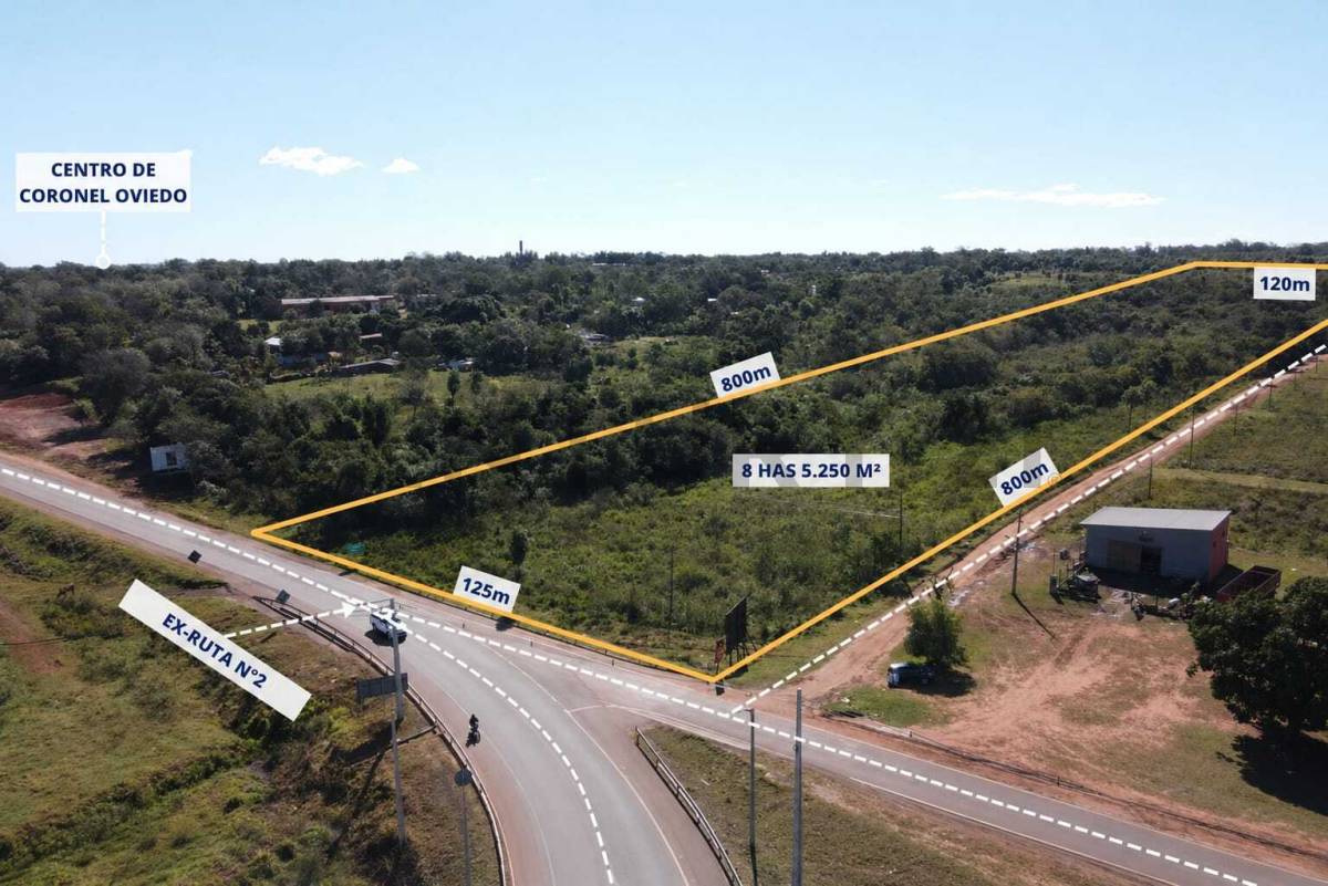 Vendo oportunidad en coronel Oviedo 15 hectáreas 5.250 m3 