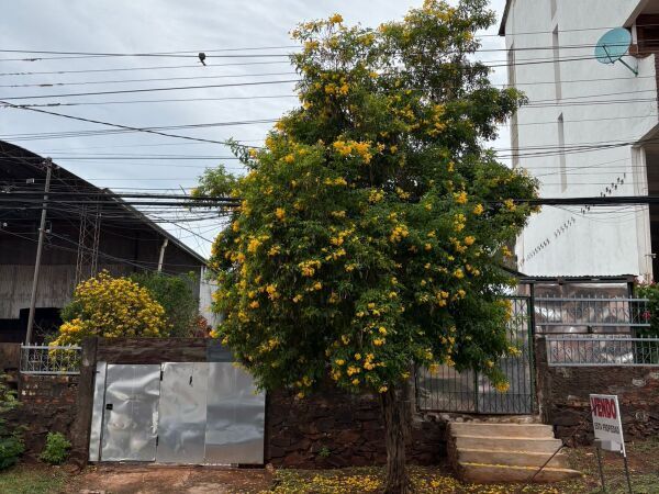 Terreno en venta en Ciudad del Este — foto 2