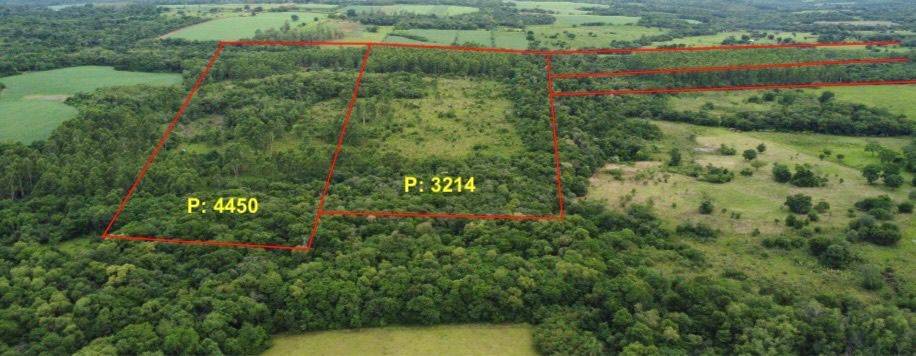 EN VENTA 59 HECTAREAS EN CAMBYRETA — foto 2