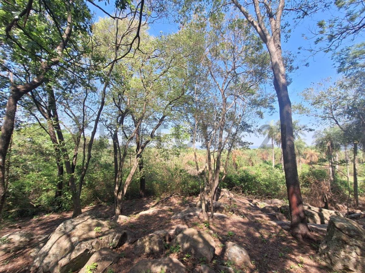 EN VENTA – 6,8 Hectáreas Con Vista Al Lago Ypacaraí, San Bernardino — foto 2