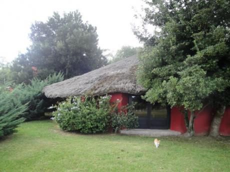 Chacra MarÍtima En RincÓn De JosÉ Ignacio