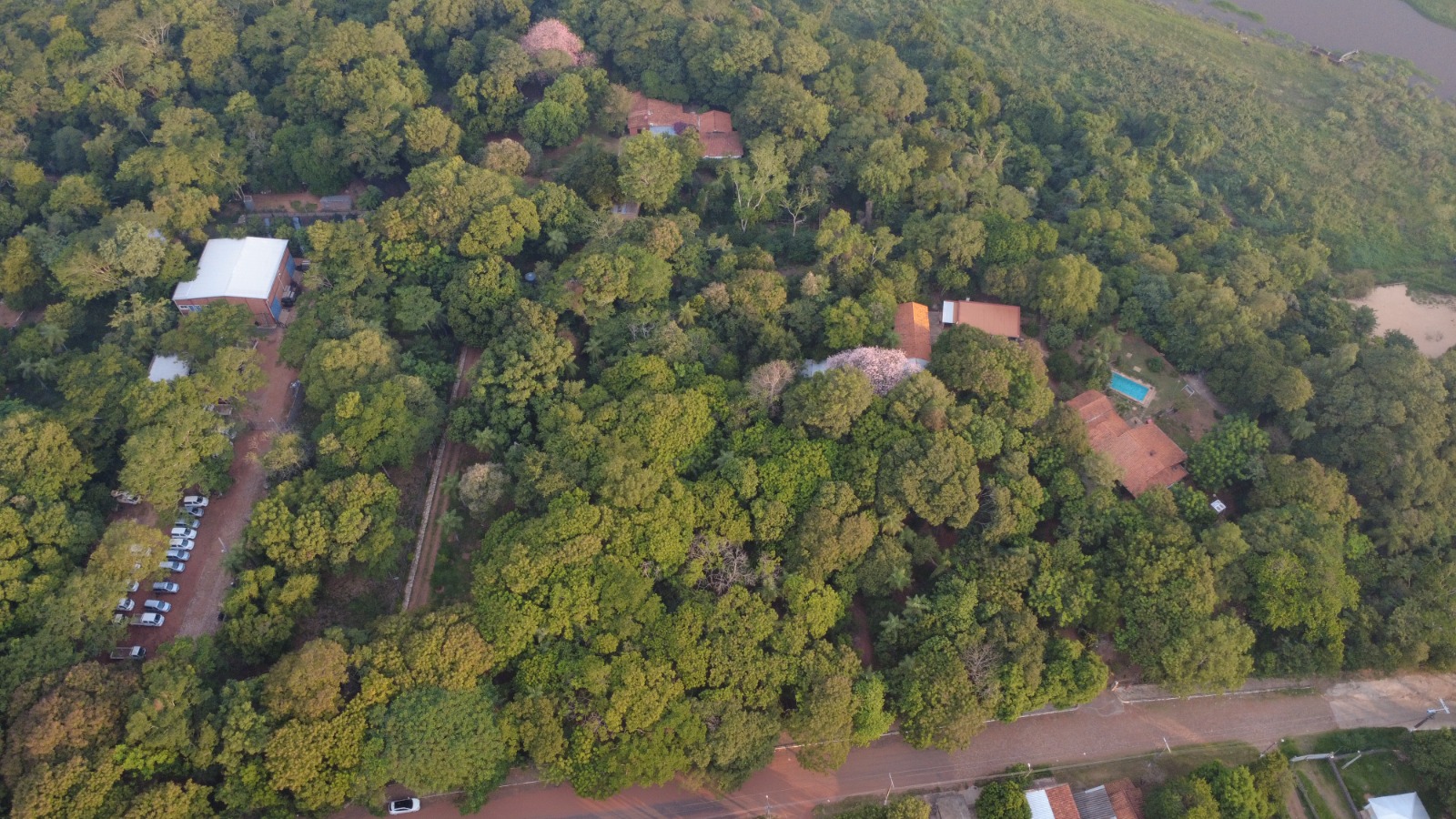 Terreno en venta en Villa Elisa — foto 3