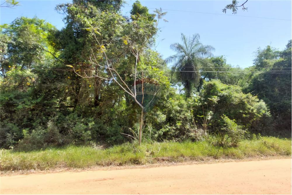 VENDO HERMOSO Y AMPLIO TERRENO EN CAACUPE — foto 2