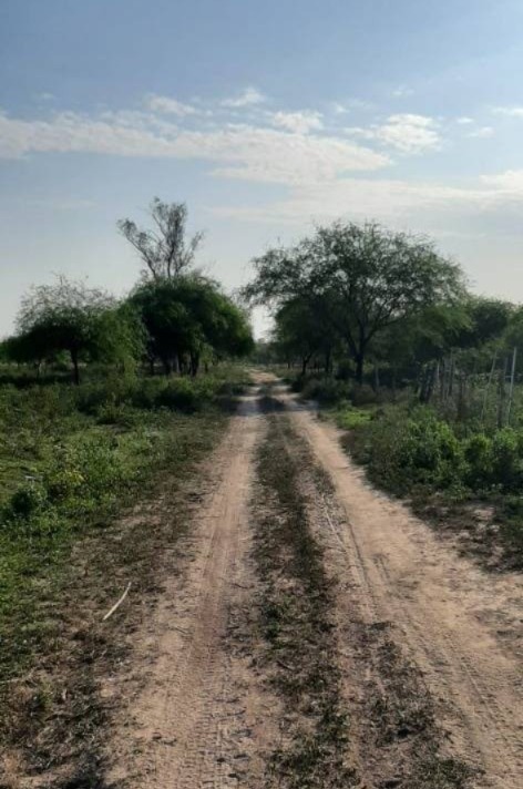 VENDO PROPIEDAD DE 58HAS EN VILLA HAYES — foto 3