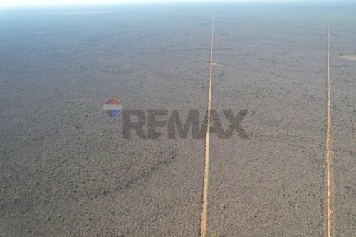 Campo - Venta - Bahia Negra, Alto Paraguay, Paraguay — foto 2