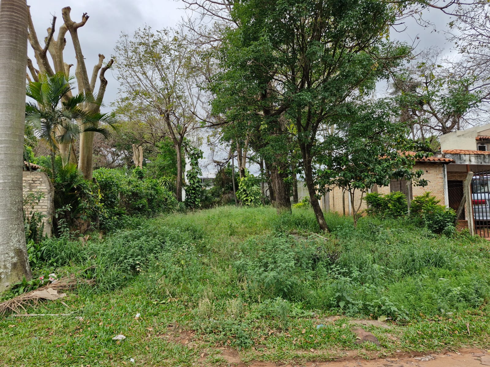 TERRENO EN VENTA | VILLA ELISA* - foto 3