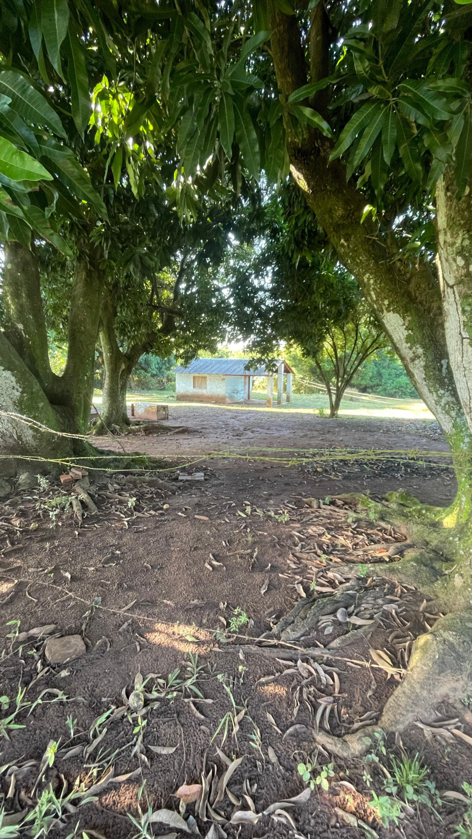Vendo Propiedad De 11 Hectáreas En Eusebio Ayala - Cordillera — foto 3