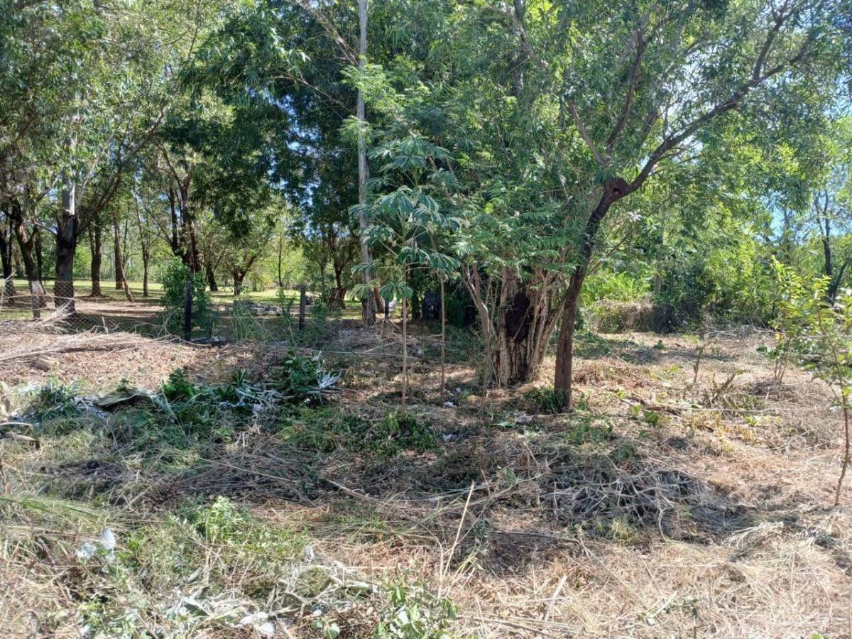 Vendo terreno 20 x 31 en San Bernardino — foto 2