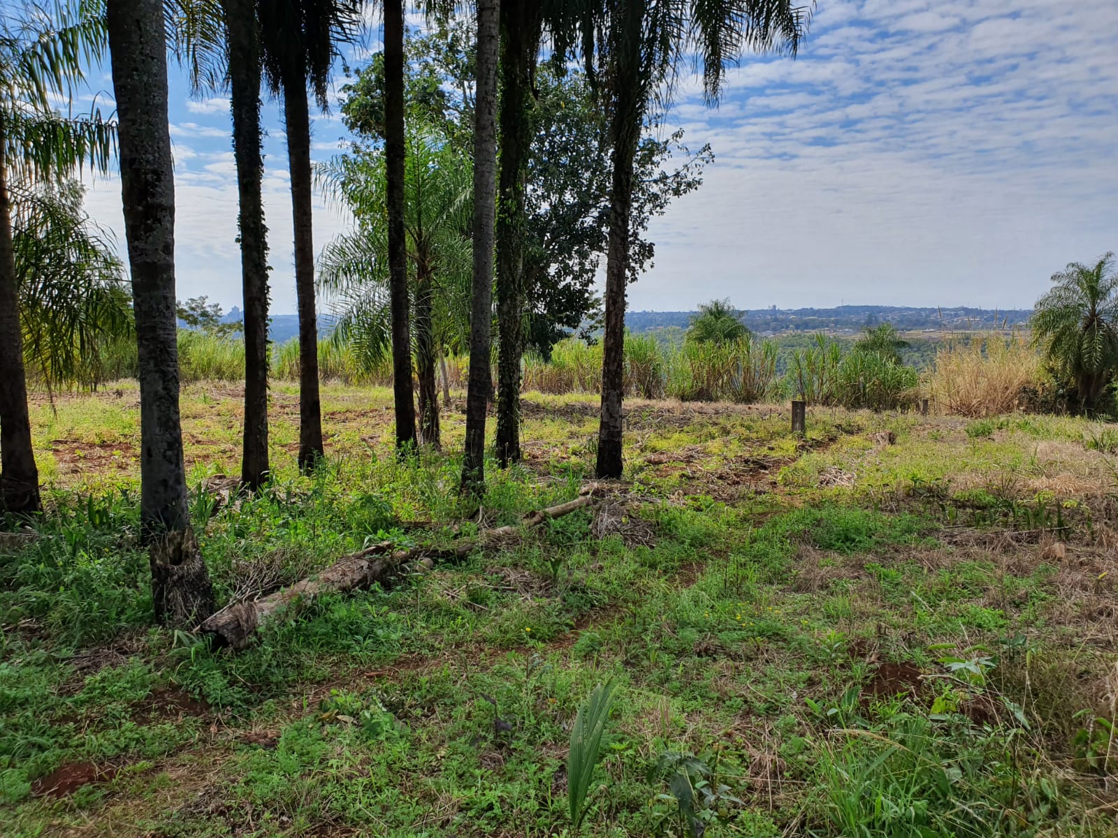 VENDO TERRENO DE 2.191M2 EN PTE FRANCO, ZONA FUTURO PUENTE! — foto 2