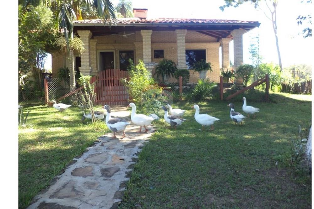 VENDO ESTANCIA FORMADA EN ISLA PUCU CORDILLERA — foto 3