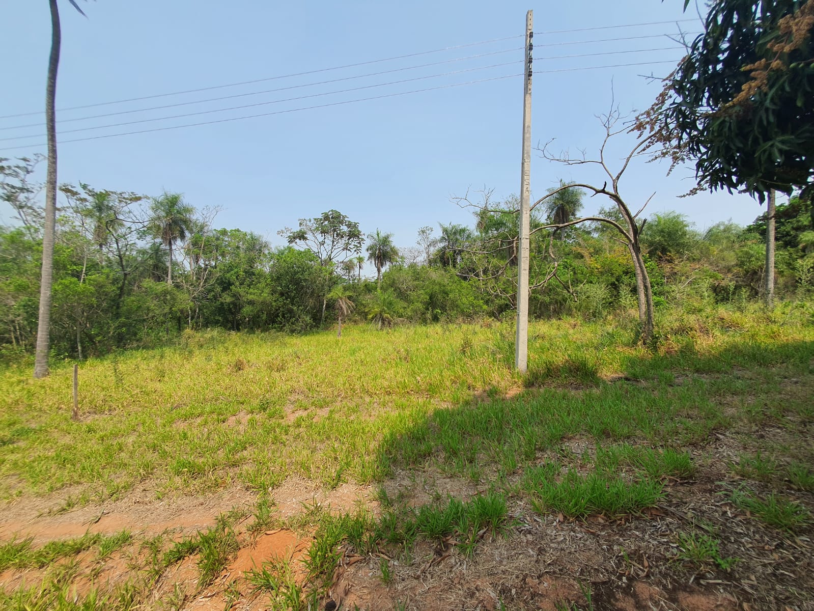 Oferta 2 terrenos juntos en Ytú — foto 3