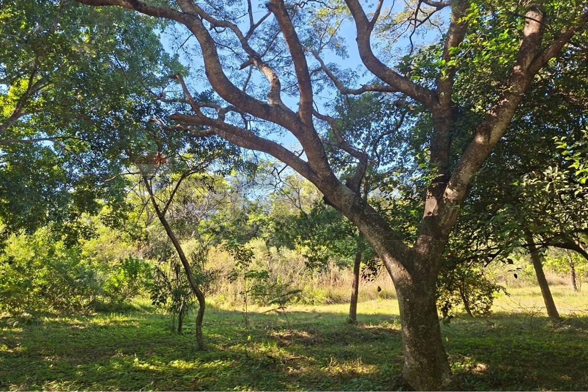 Terreno en San Bernardino — foto 3