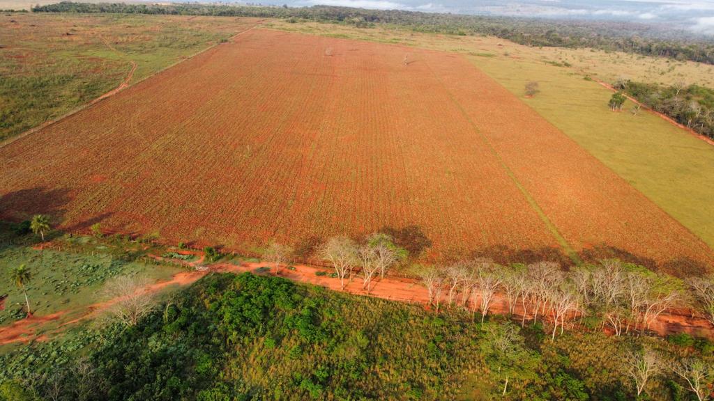 Vendo Estancia de 398 Hectáreas en Yrybucuá, San Pedro - LCS6466031 — foto 3