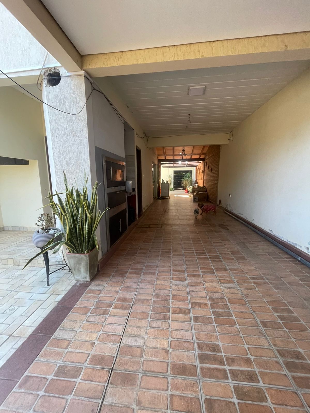 Alquilo duplex minimalista — foto 2