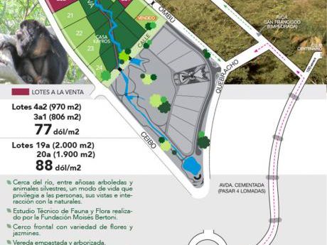 Vendo 4 Lotes Mra - Surubi-í Sutuminue Selva
