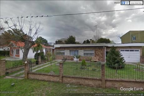 Rambla Sarandi, Floresta