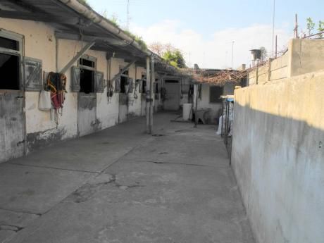 Pedro Piñeyrua. Casa Mas 25 Studs