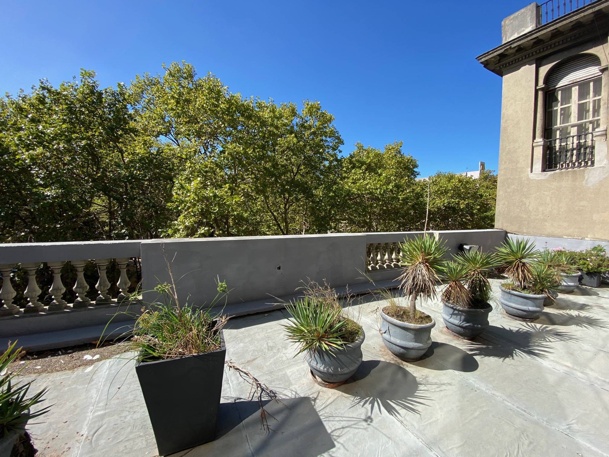Alquiler - Oficina con vista a Plaza Matriz, 184 m2 con 42 de terraza - Ituzaingo y Rincon · Photo 8