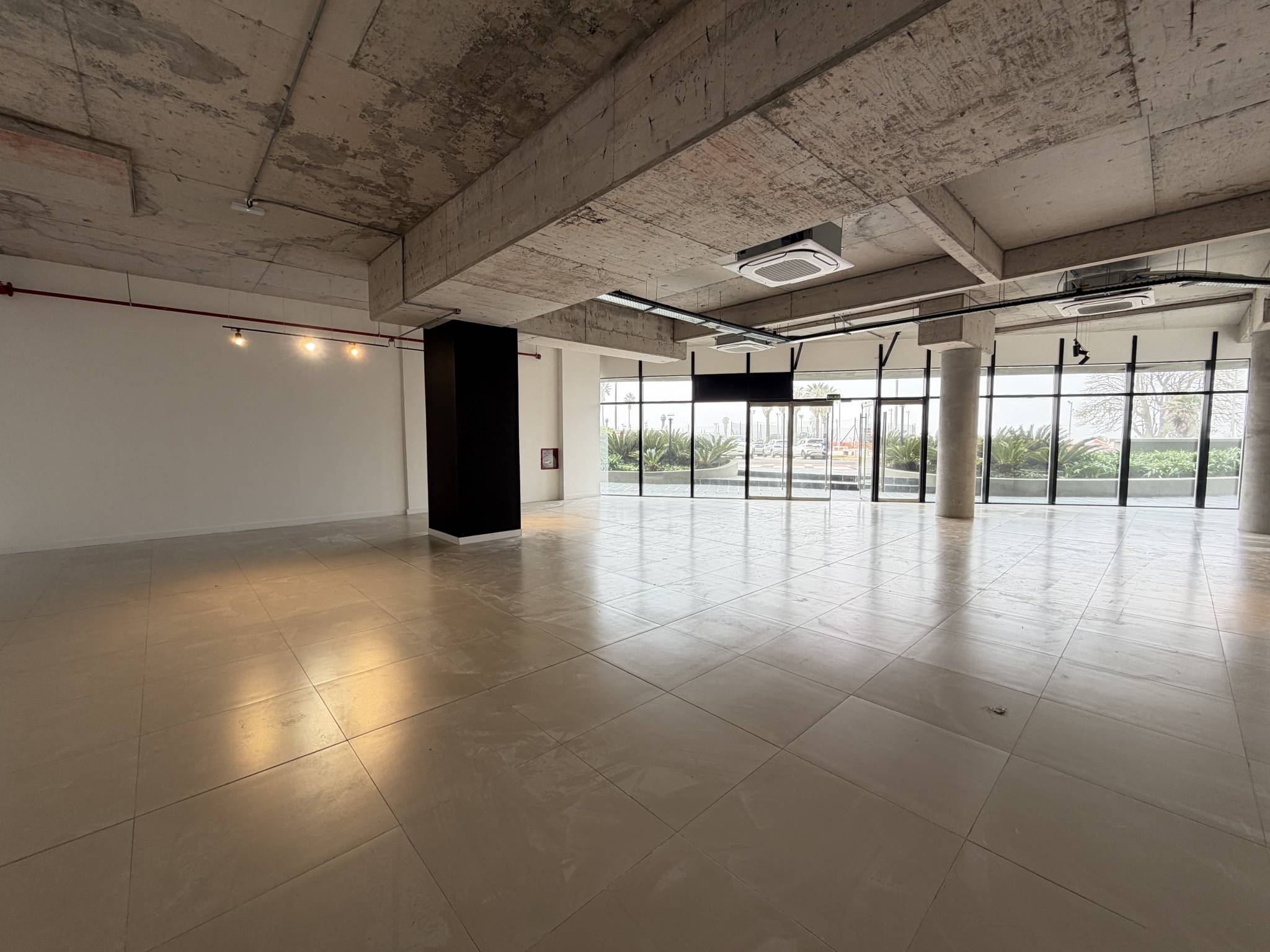 Alquiler Local comercial en la Rambla con 190 Mts2 en Buceo · Foto 5