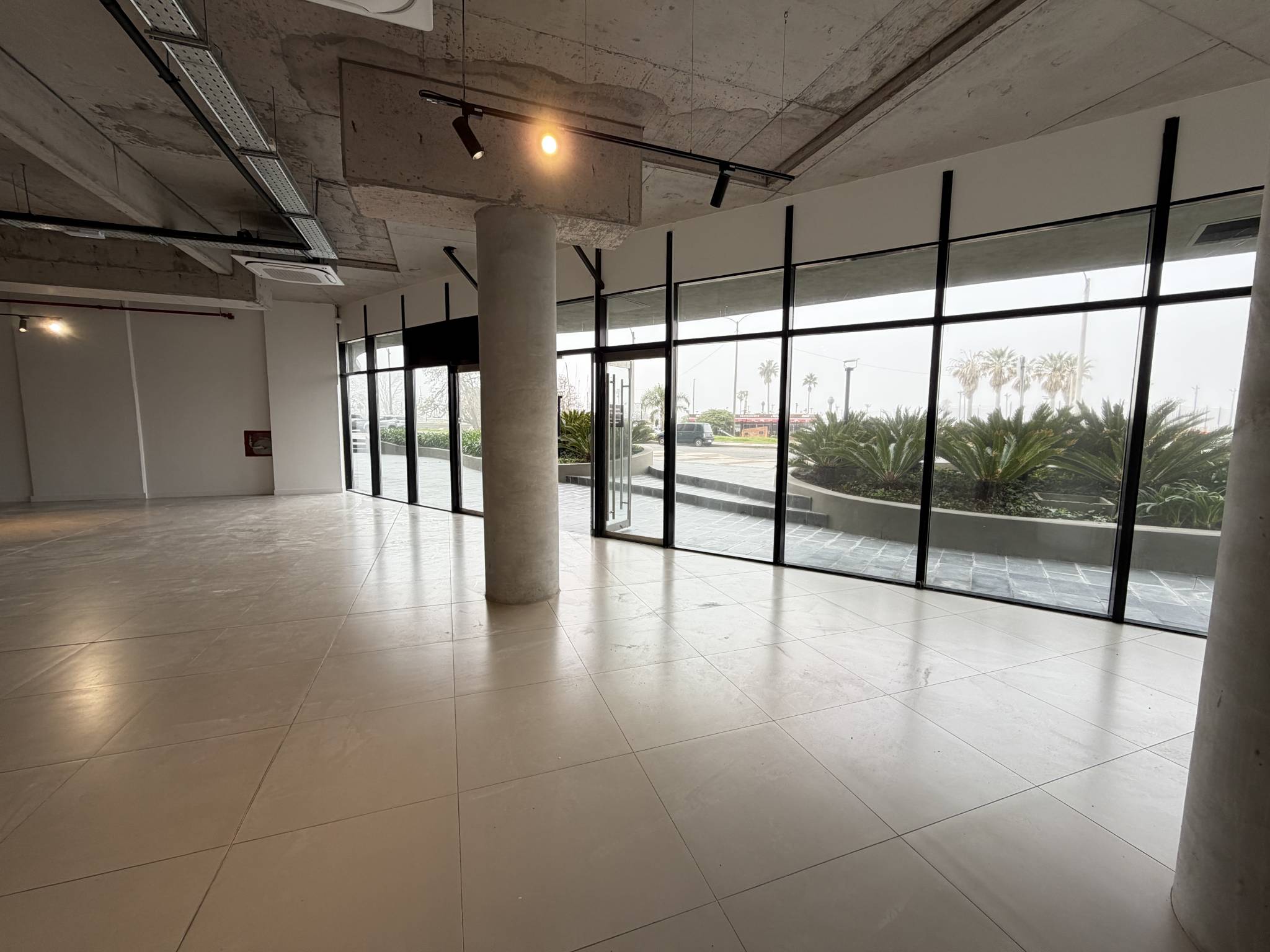 Alquiler Local comercial en la Rambla con 190 Mts2 en Buceo · Photo 6