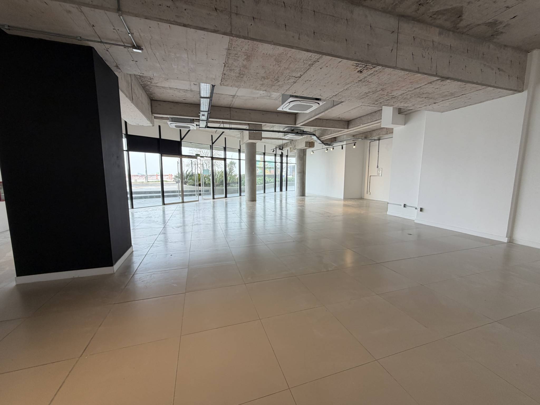 Alquiler Local comercial en la Rambla con 190 Mts2 en Buceo · Photo 7