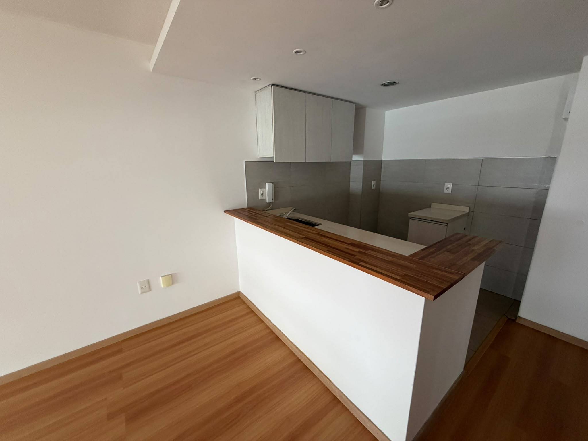 Alquiler de Apartamento en Santiago de Chile con 1 dormitorio en Cordon · Foto 9