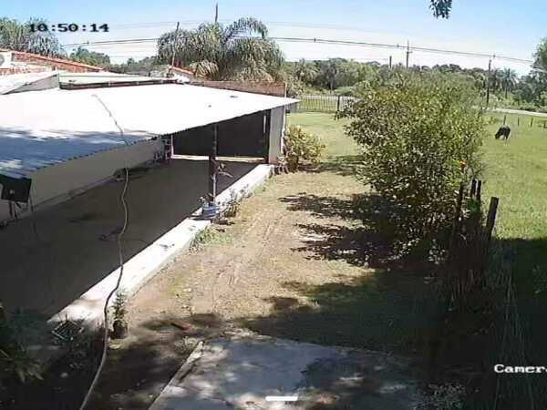 VENDO CASA EN VILLA OLIVA — foto 3