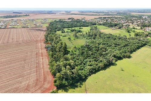 Estancia/Campo-Venta-PY Alto Paraná Santa Rita — foto 3