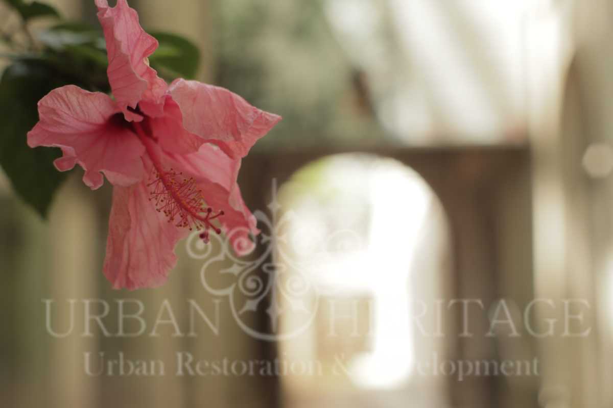 Luxury 4 Bdrm Apt Garden Patio & BBQ Disponible Julio 2025 · Foto 1