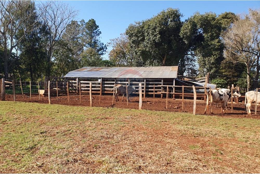 VENDO GRANJA FORMADA EN COLONIA NUEVA FORTUNA — foto 2