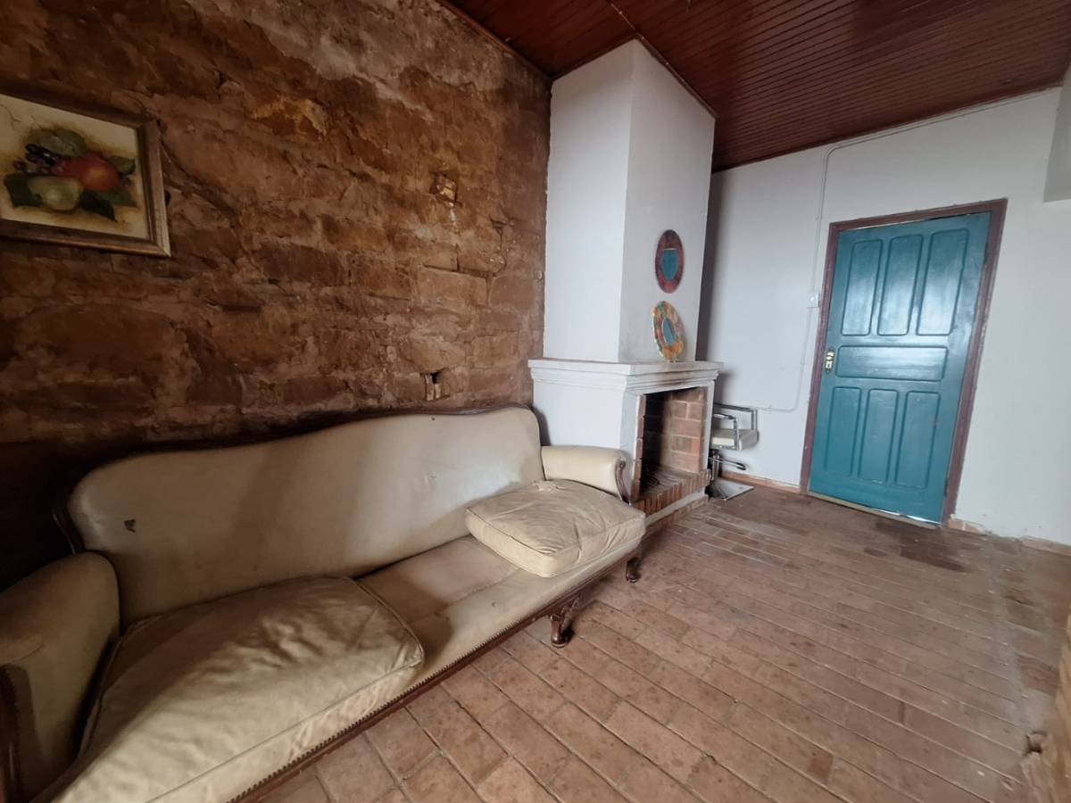 VENTA - Granja 73 ha agrícola y ganadera - Nueva Colombia — foto 3