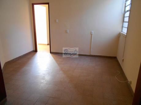 Apartamentos En Pocitos
