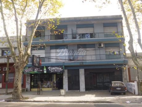 Apartamentos En Buceo