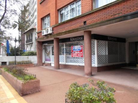 Locales Comerciales En Pocitos
