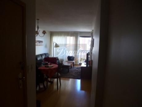 Apartamentos En Pocitos Nuevo