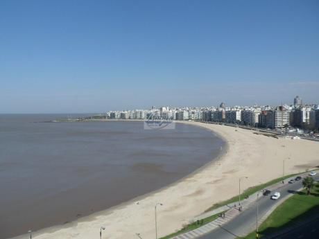 Apartamentos En Pocitos