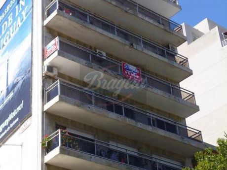 Apartamentos En Pocitos